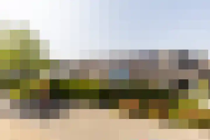 Strobenen-bogerd 38 Hendrik-Ido-Ambacht thumbnail 28