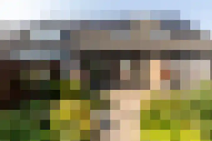 Strobenen-bogerd 38 Hendrik-Ido-Ambacht thumbnail 29