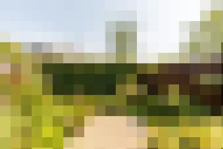 Strobenen-bogerd 38 Hendrik-Ido-Ambacht thumbnail 31