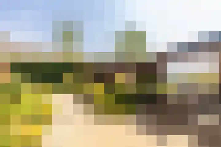 Strobenen-bogerd 38 Hendrik-Ido-Ambacht thumbnail 33