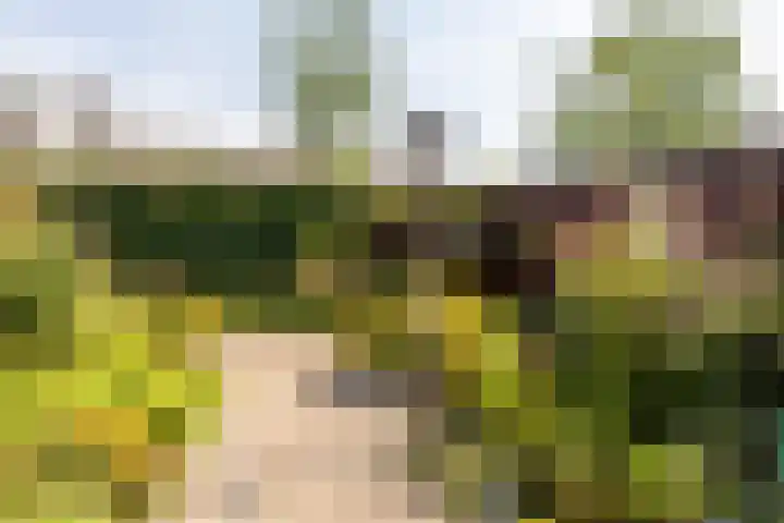 Strobenen-bogerd 38 Hendrik-Ido-Ambacht thumbnail 34
