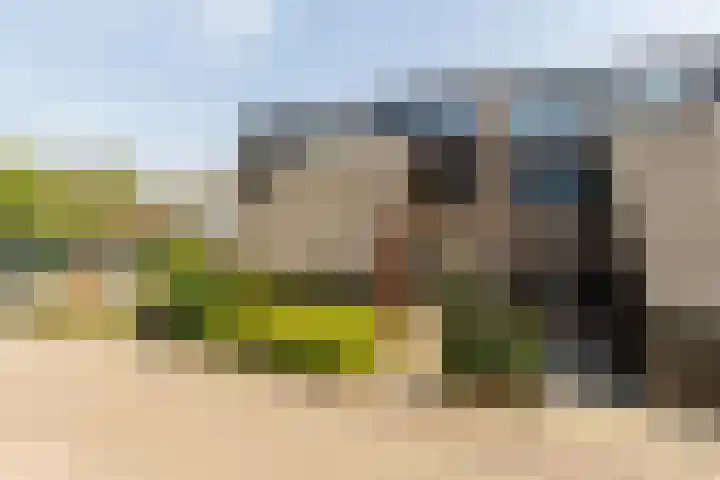 Strobenen-bogerd 38 Hendrik-Ido-Ambacht thumbnail 4