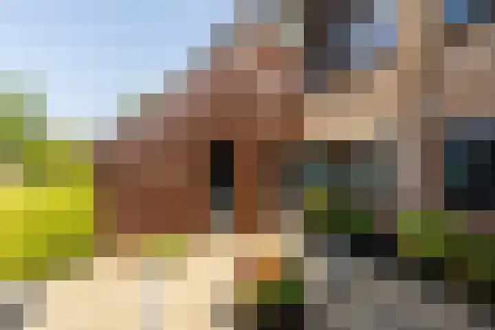 Strobenen-bogerd 38 Hendrik-Ido-Ambacht thumbnail 6