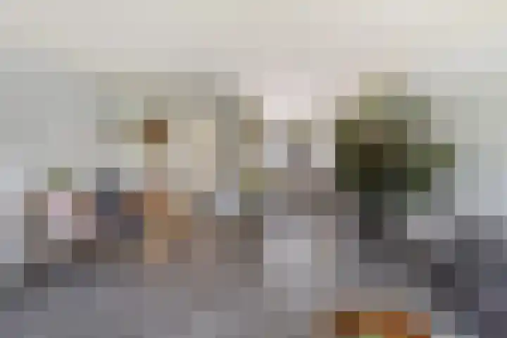 Strobenen-bogerd 4 Hendrik-Ido-Ambacht thumbnail 10