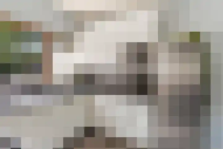Strobenen-bogerd 4 Hendrik-Ido-Ambacht thumbnail 12
