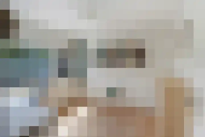 Strobenen-bogerd 4 Hendrik-Ido-Ambacht thumbnail 17