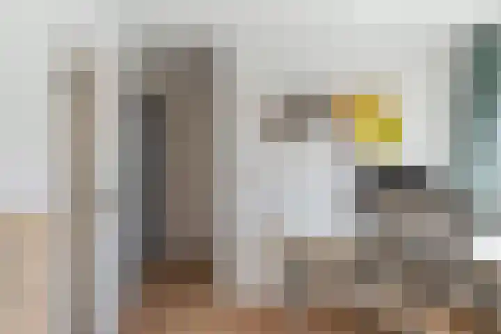 Strobenen-bogerd 4 Hendrik-Ido-Ambacht thumbnail 18