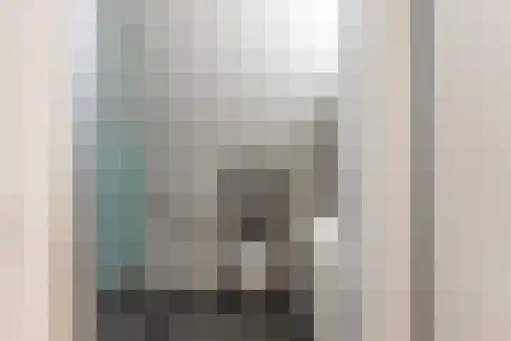 Strobenen-bogerd 4 Hendrik-Ido-Ambacht thumbnail 20