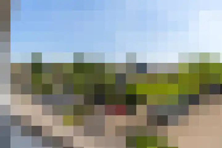 Strobenen-bogerd 4 Hendrik-Ido-Ambacht thumbnail 30