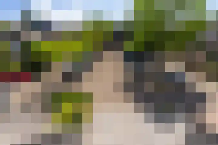 Strobenen-bogerd 4 Hendrik-Ido-Ambacht thumbnail 31