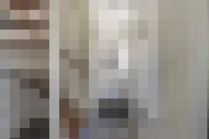 Strobenen-bogerd 4 Hendrik-Ido-Ambacht thumbnail 4