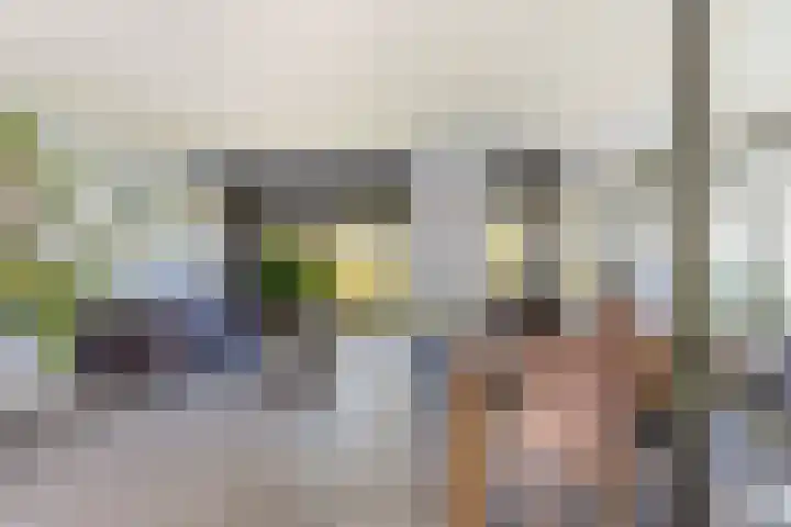 Strobenen-bogerd 4 Hendrik-Ido-Ambacht thumbnail 5