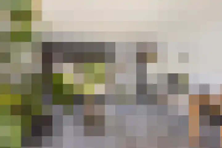 Strobenen-bogerd 4 Hendrik-Ido-Ambacht thumbnail 6