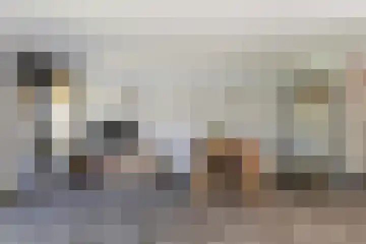 Strobenen-bogerd 4 Hendrik-Ido-Ambacht thumbnail 7