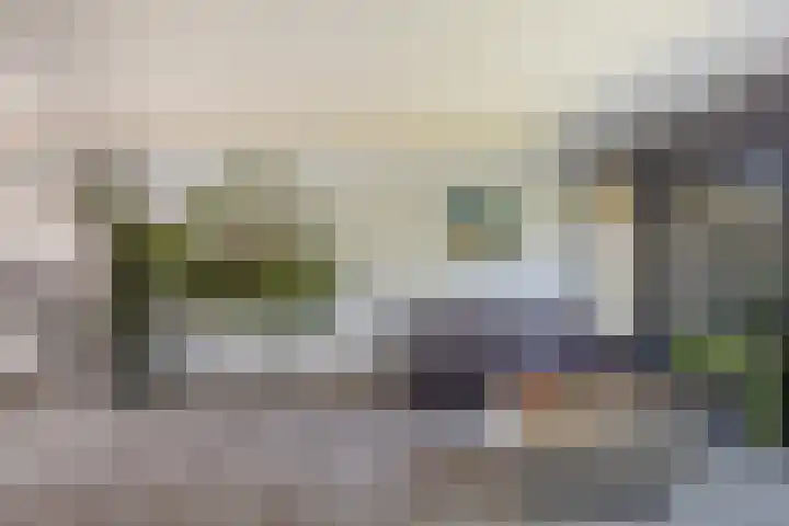 Strobenen-bogerd 4 Hendrik-Ido-Ambacht thumbnail 8