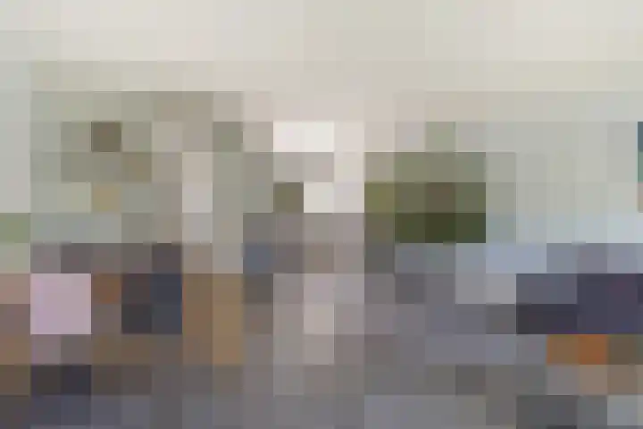 Strobenen-bogerd 4 Hendrik-Ido-Ambacht thumbnail 9