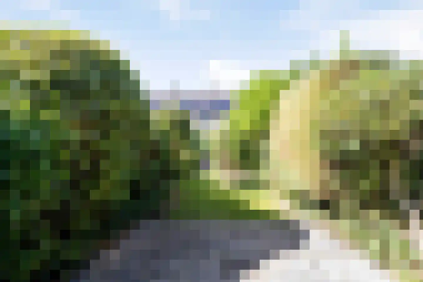 Strobloem 26 Leiden thumbnail 15