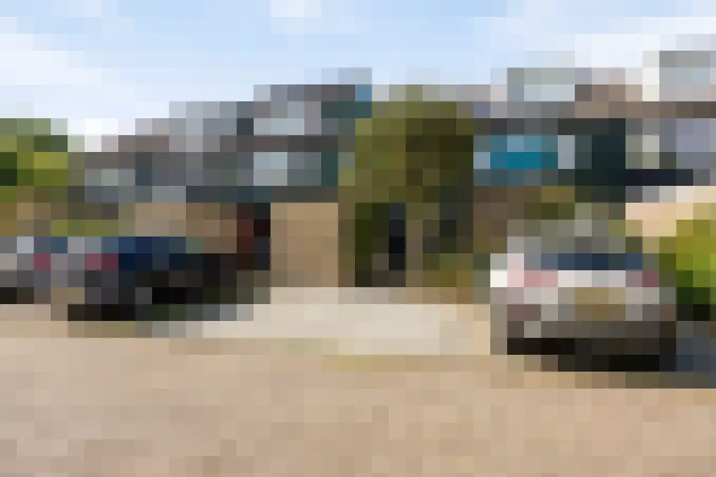 Strobloem 26 Leiden thumbnail 33