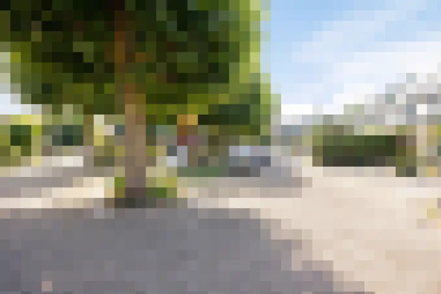 Strobloem 26 Leiden thumbnail 34