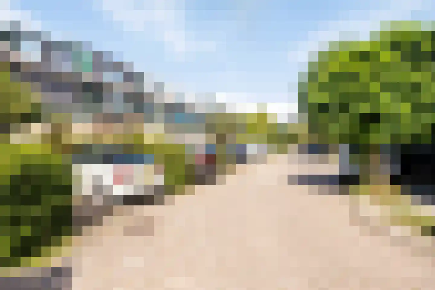Strobloem 26 Leiden thumbnail 35