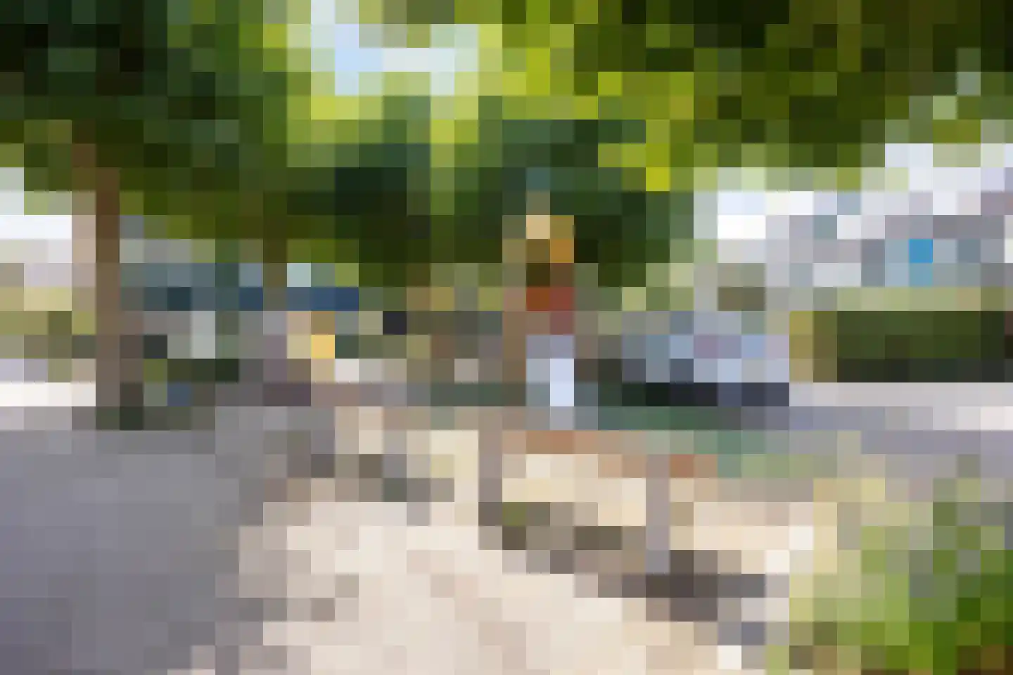 Strobloem 26 Leiden thumbnail 36