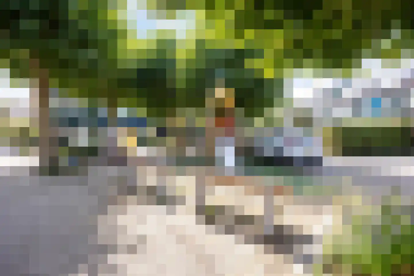 Strobloem 26 Leiden thumbnail 36