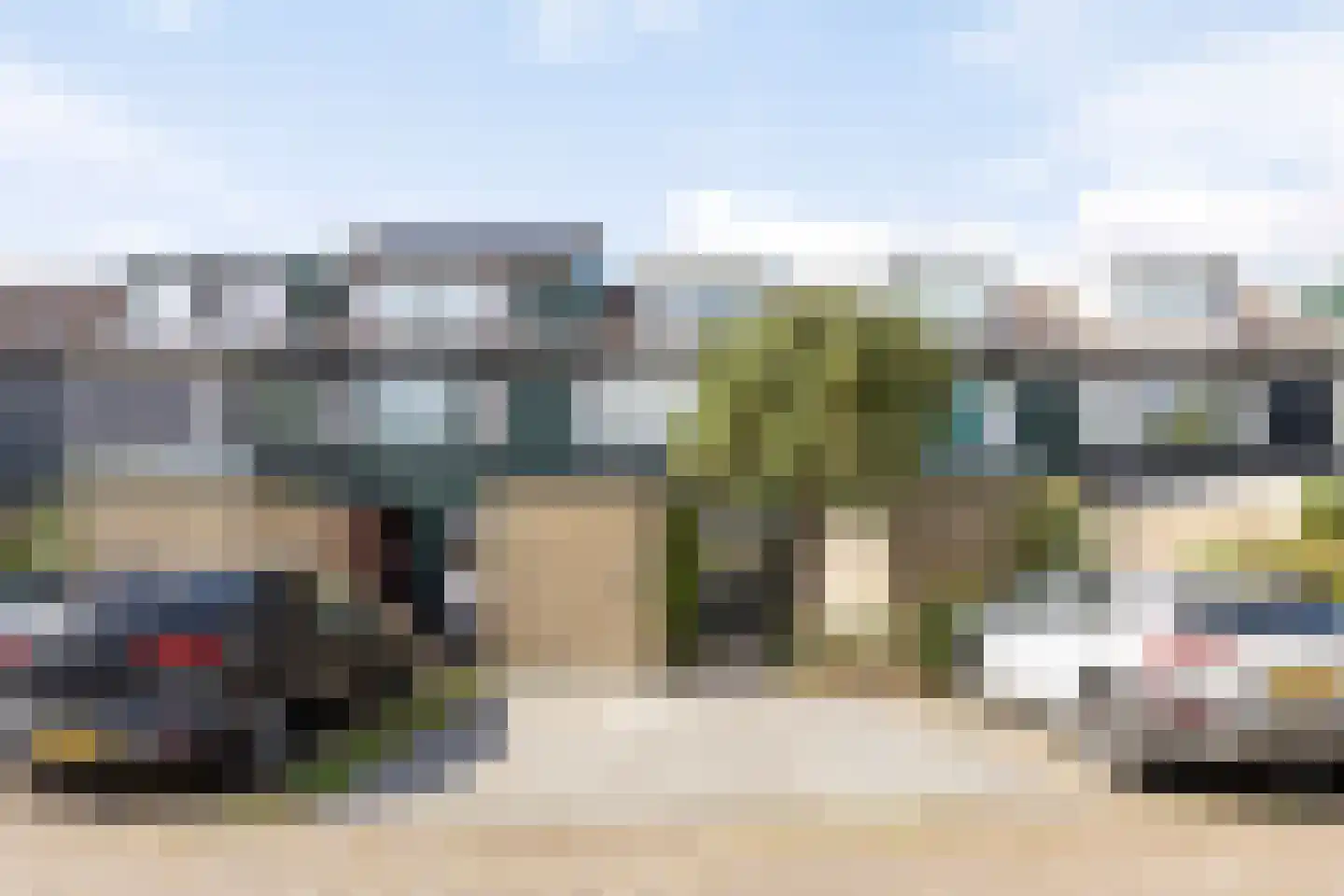 Strobloem 26 Leiden thumbnail 6