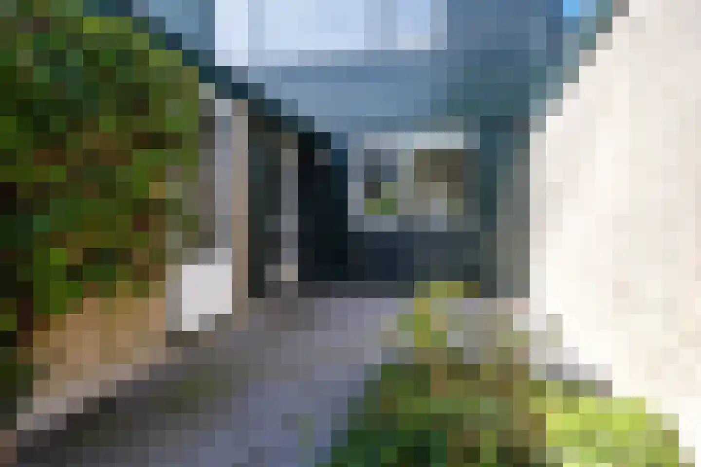 Strobloem 26 Leiden thumbnail 7