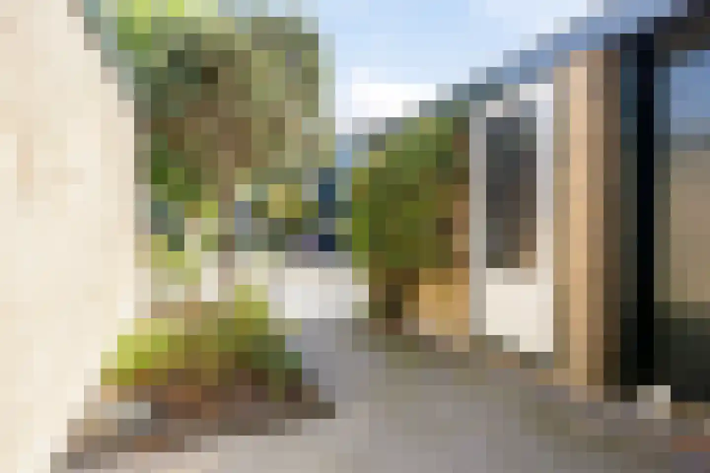 Strobloem 26 Leiden thumbnail 8