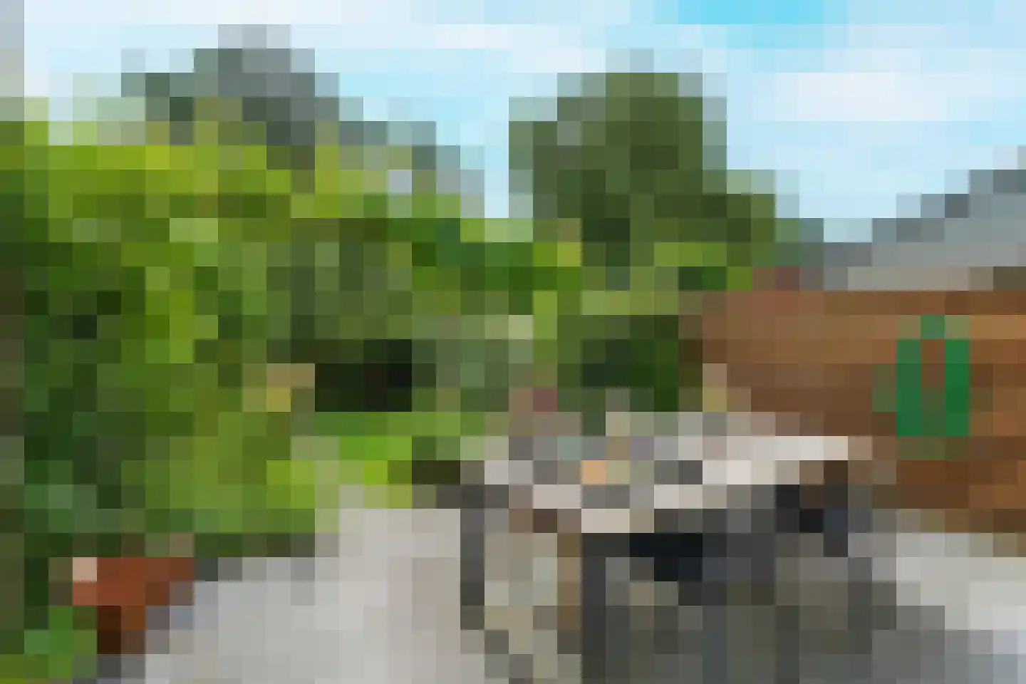Strobloem 7 Leiden thumbnail 19