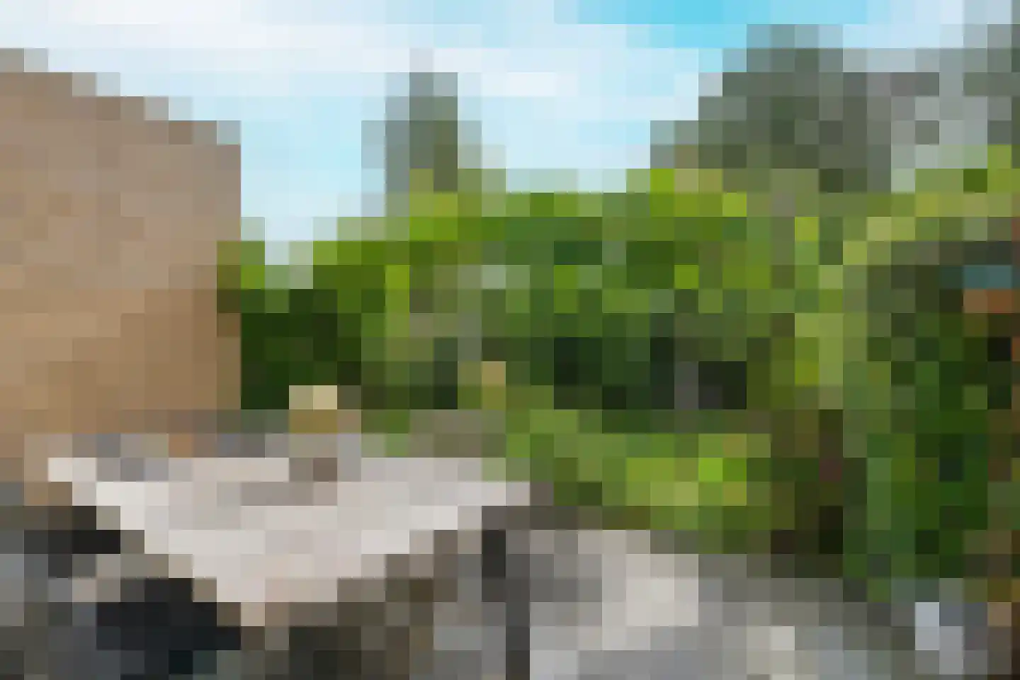 Strobloem 7 Leiden thumbnail 20