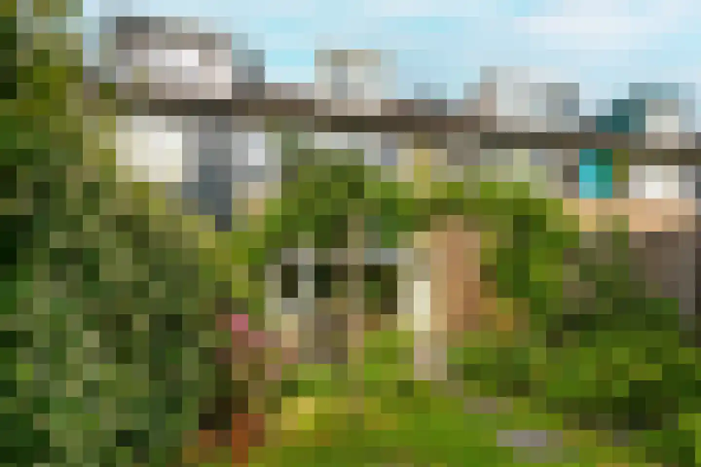 Strobloem 7 Leiden thumbnail 27