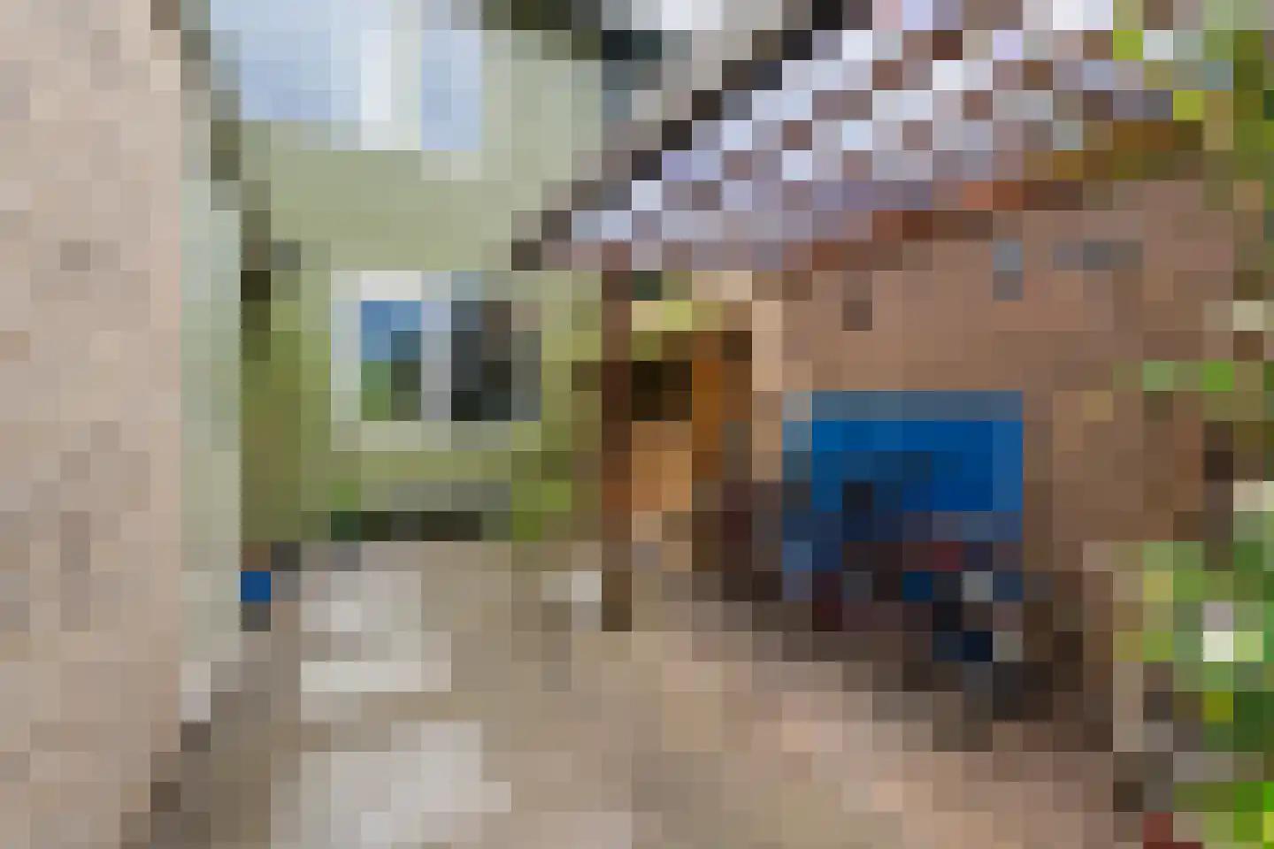 Strobloem 7 Leiden thumbnail 48