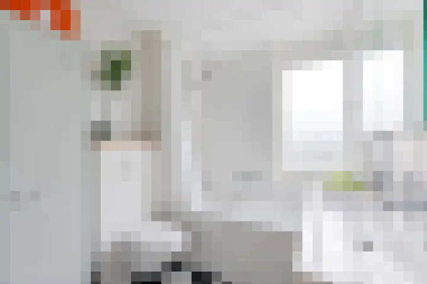 Strobloem 7 Leiden thumbnail 5