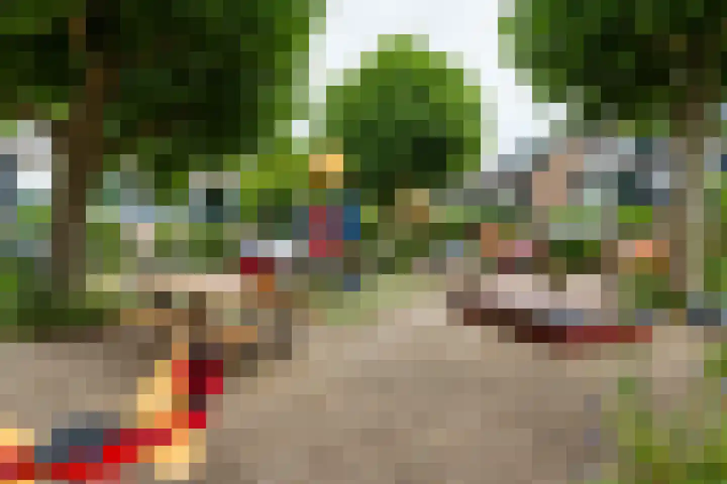 Strobloem 7 Leiden thumbnail 51