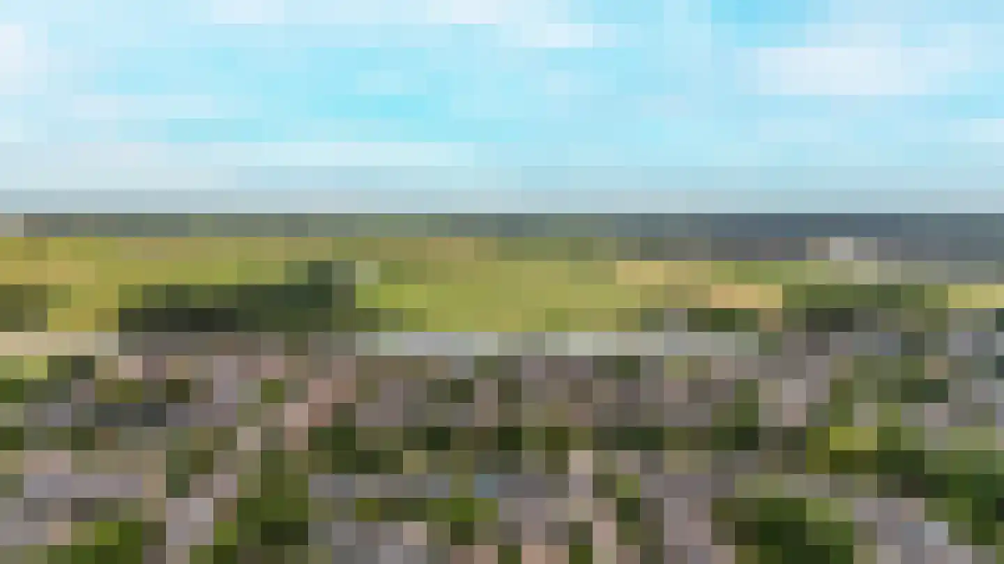 Strobloem 7 Leiden thumbnail 55
