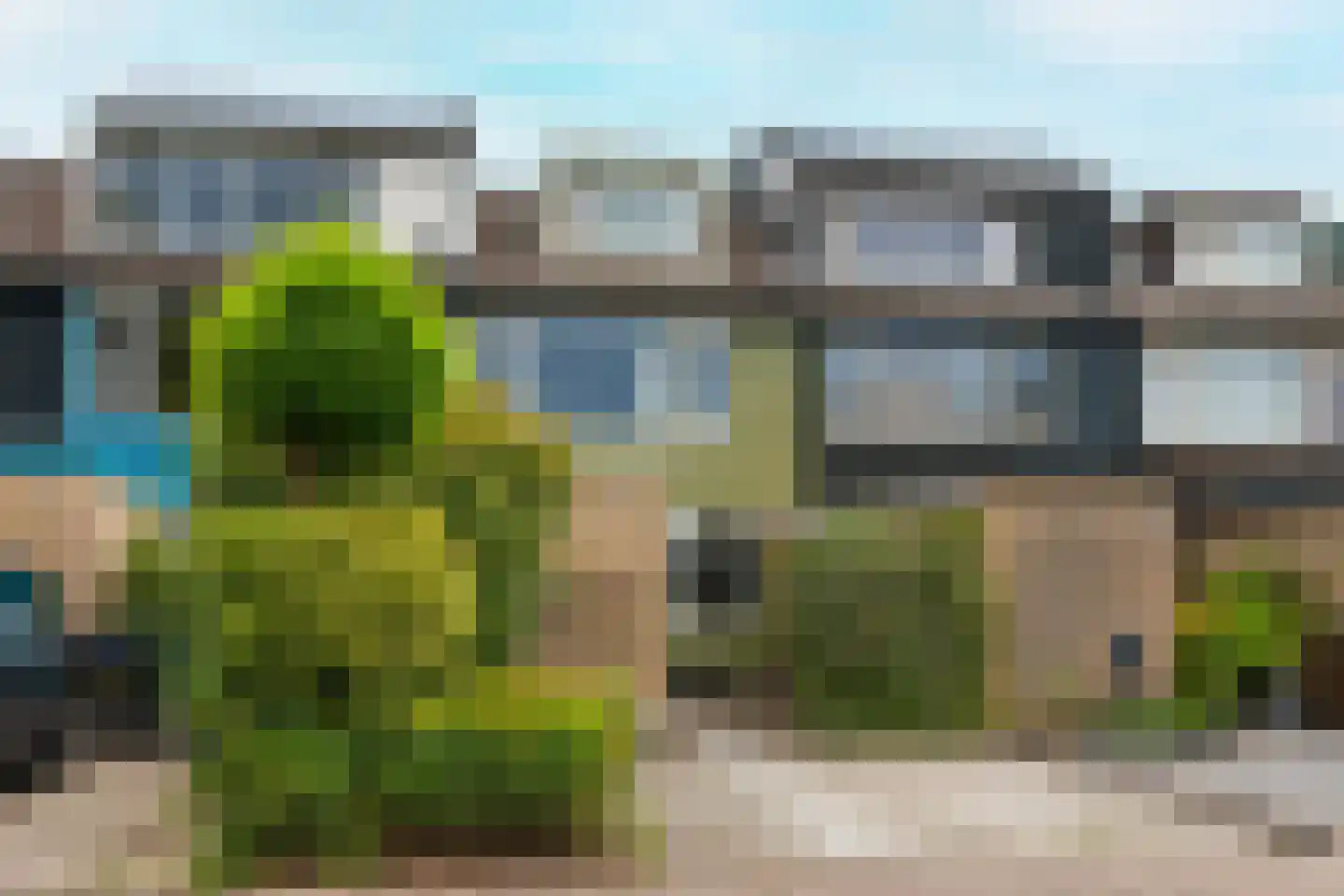 Strobloem 7 Leiden thumbnail 6
