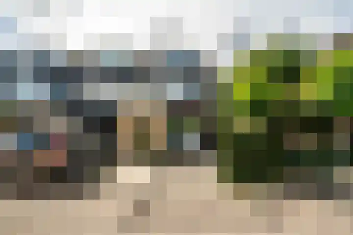 Strobloem 8 in Leiden