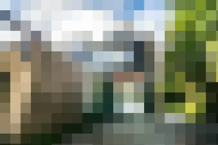 Strobloem 8 Leiden thumbnail 23