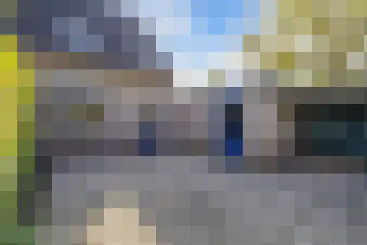 Strobloem 8 Leiden thumbnail 36