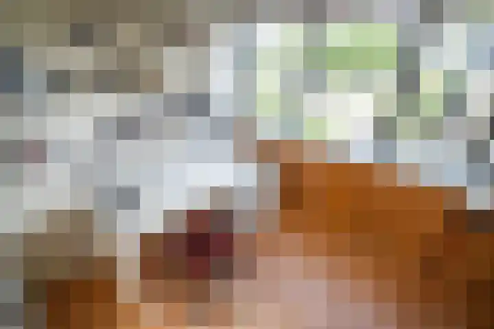 Strobloem 8 Leiden thumbnail 42