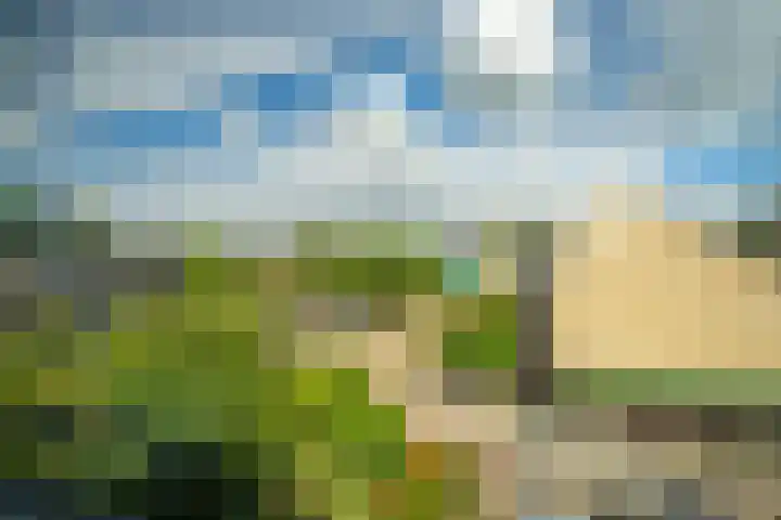 Strobloem 8 Leiden thumbnail 43