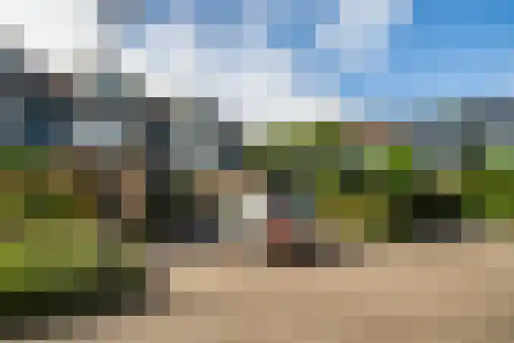 Strobloem 8 Leiden thumbnail 44