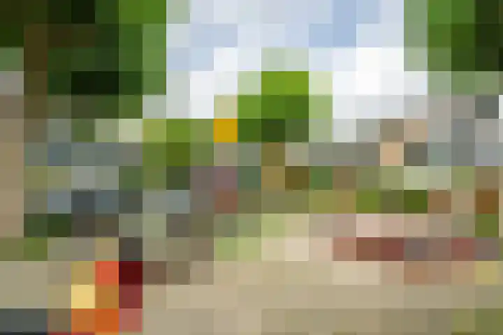 Strobloem 8 Leiden thumbnail 45