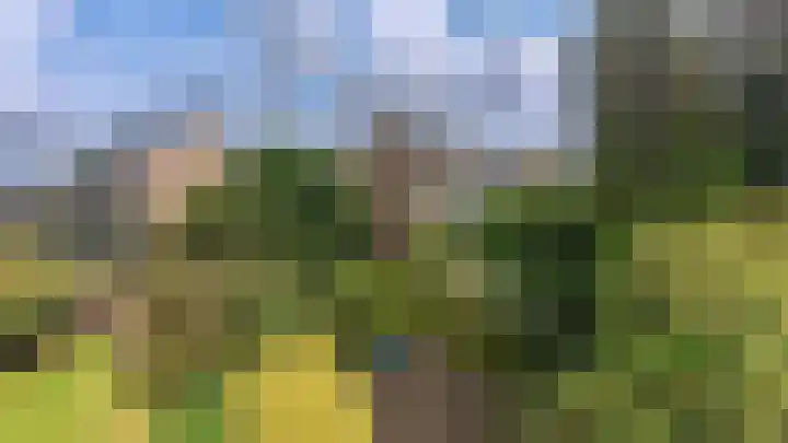 Strobloem 8 Leiden thumbnail 46