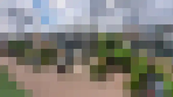 Strobloem 8 Leiden thumbnail 47