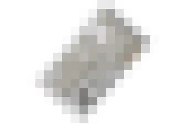 Strobloem 8 Leiden thumbnail 51