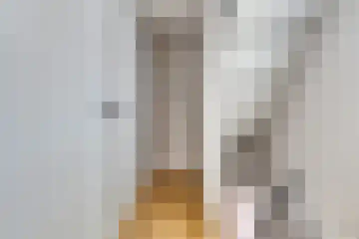Strobloemstraat 1 Eindhoven thumbnail 16