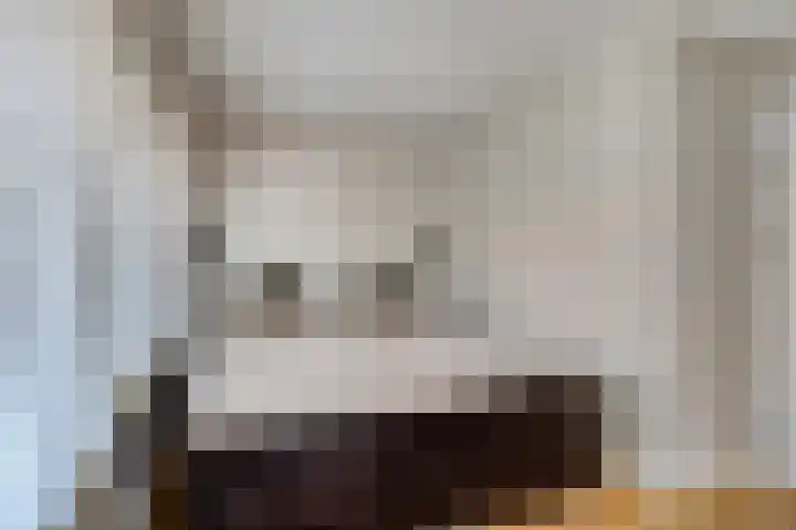 Strobloemstraat 1 Eindhoven thumbnail 18