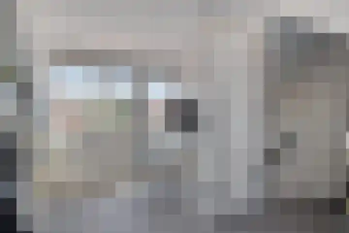 Strobloemstraat 1 Eindhoven thumbnail 24